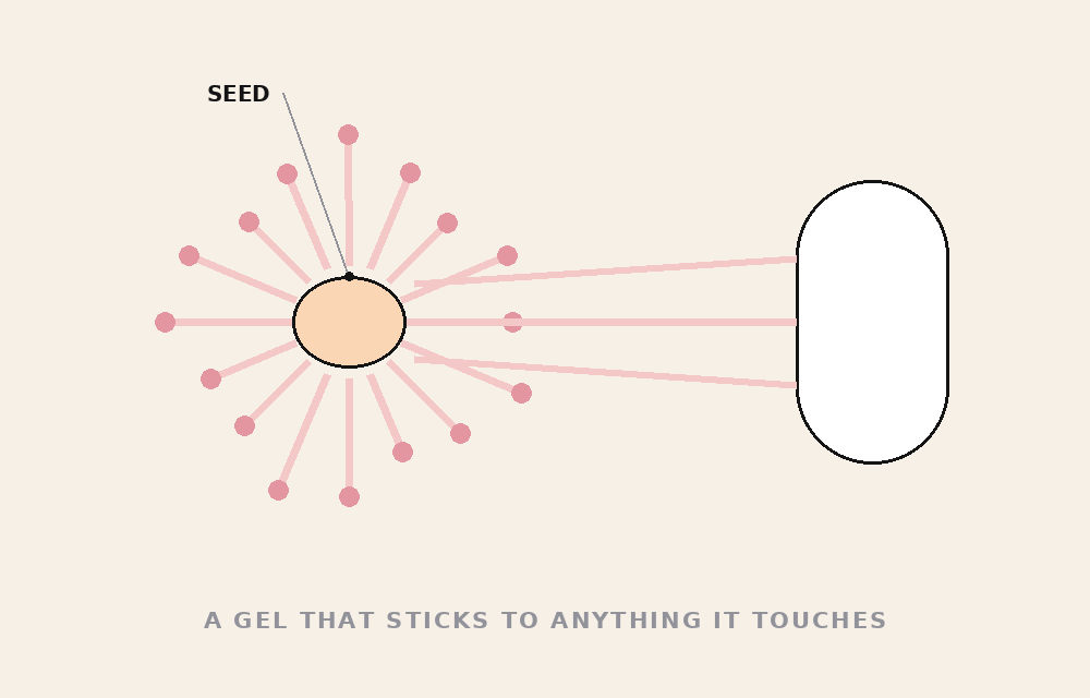 THE SEEDS GLUE — tomato danger file