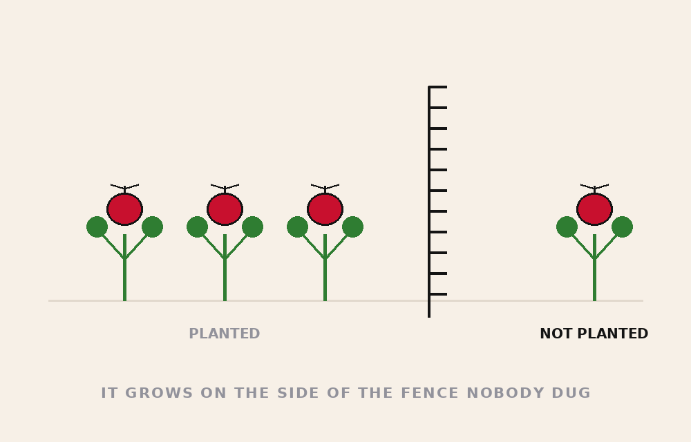 IT IS A WEED — tomato danger file