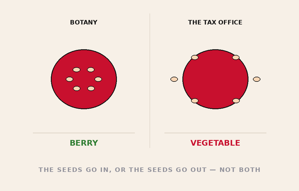 IT IS A BERRY, AND IT IS TAXED AS A VEGETABLE — tomato danger file