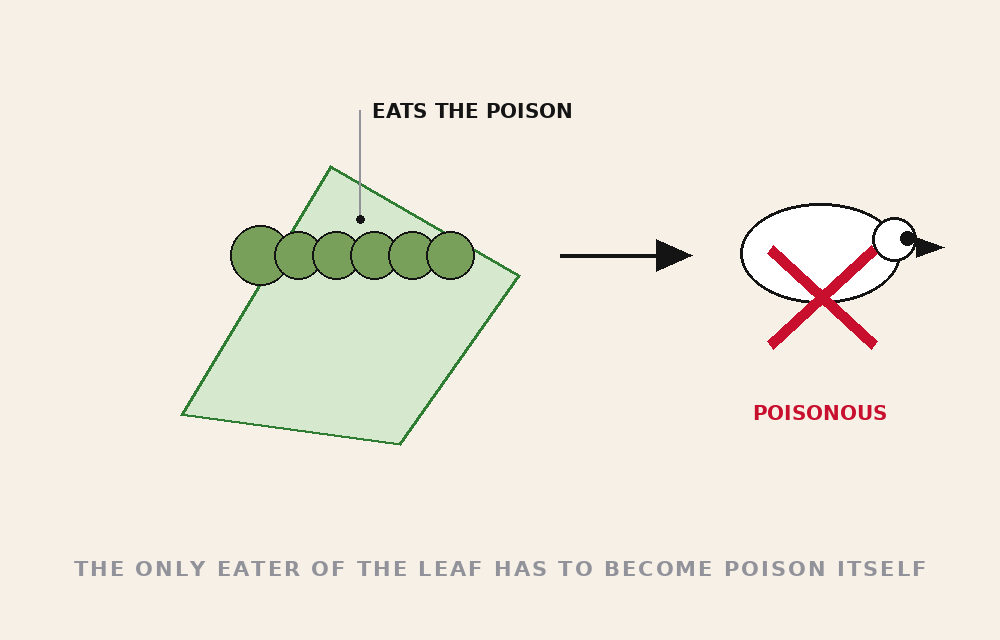 EVEN ITS ONLY DEFENDER IS POISONOUS — tomato danger file