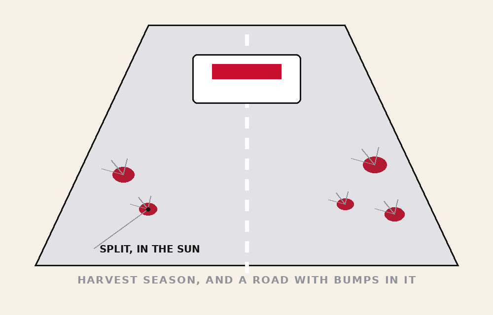 A LOST TOMATO ON THE ROADSIDE IS A LOCAL DISASTER — tomato danger file