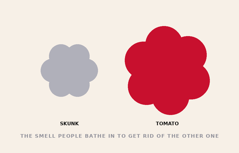 WORSE THAN SKUNK SPRAY — tomato danger file