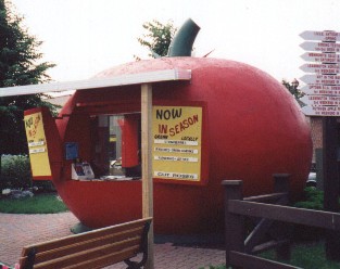 Leamington tomato kiosk